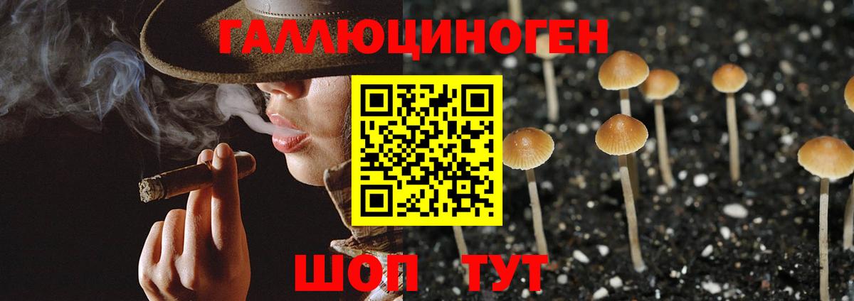 Галлюциногенные грибы Psilocybine cubensis  Вход с VPN  Курчалой  Галлюциногенные грибы ЛСД 