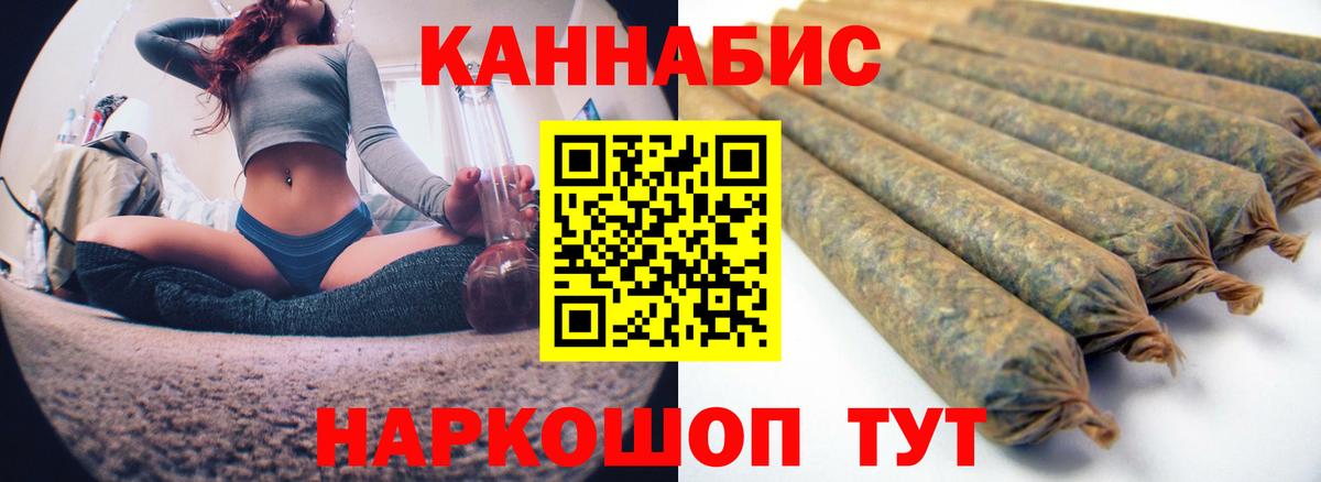 Бошки Шишки планчик Курчалой